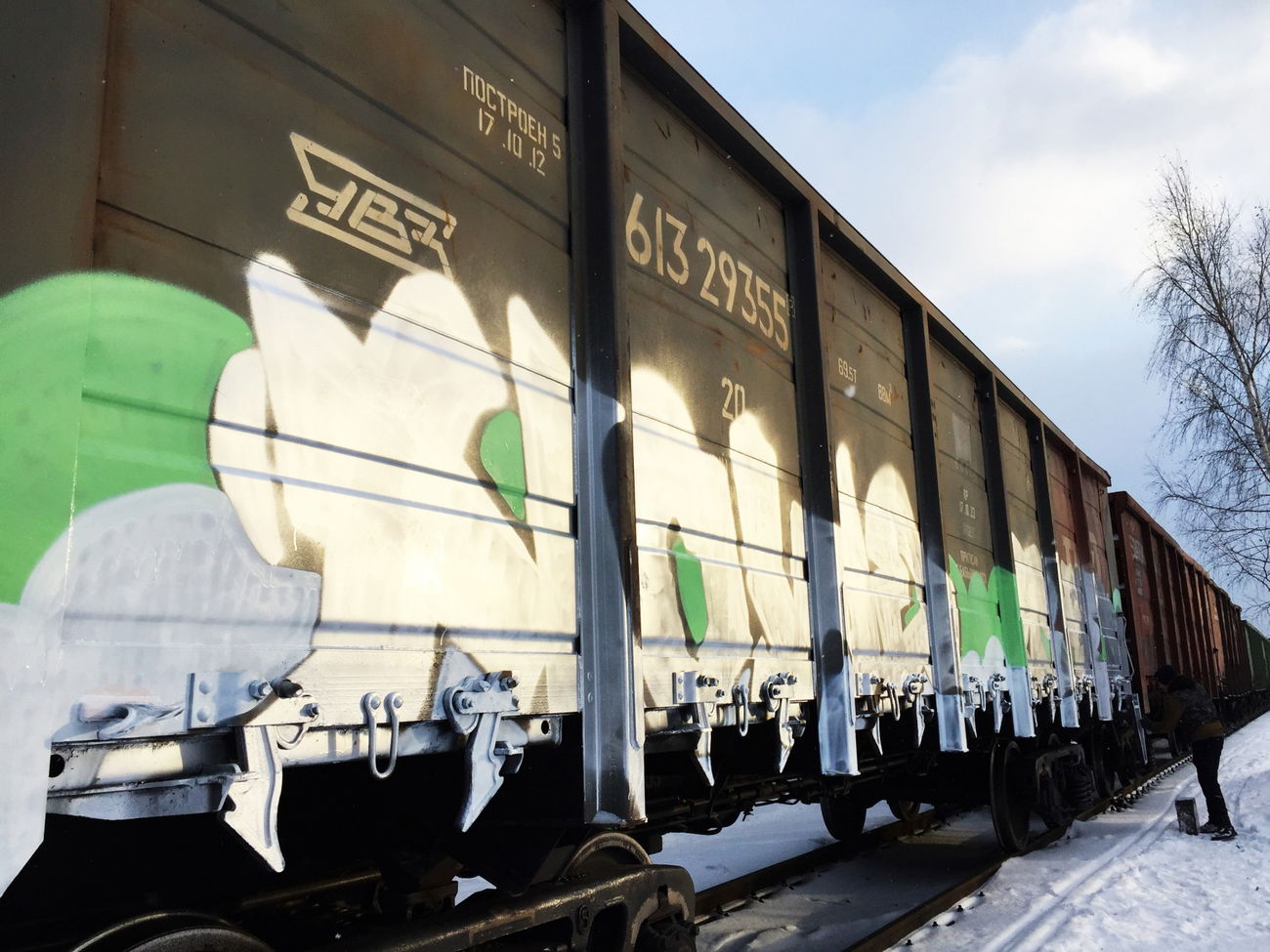 Graffiti Train - Photo by RemesTbws - Nowe, Tnsc (2016)