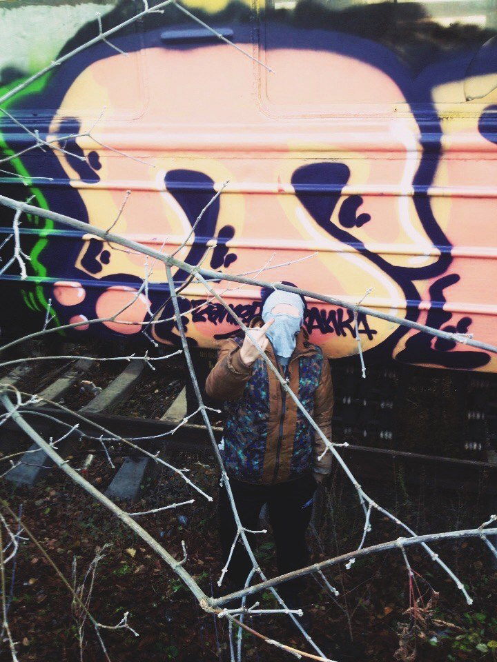 Graffiti Train - Photo by RemesTbws (2016)