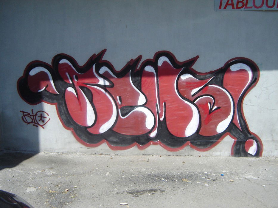 Graffiti Bombing - Photo by Rems