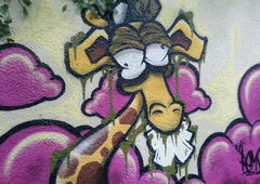 Photo #107993 by Belt