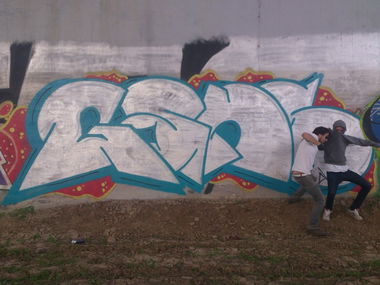 Graffiti Bombing - Photo by Renoager - Gans, Renoager, Hacs (2013)