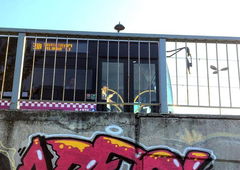 Photo #172935 by TagHagel