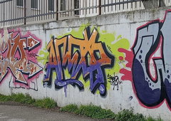 Photo #250997 by iobe1