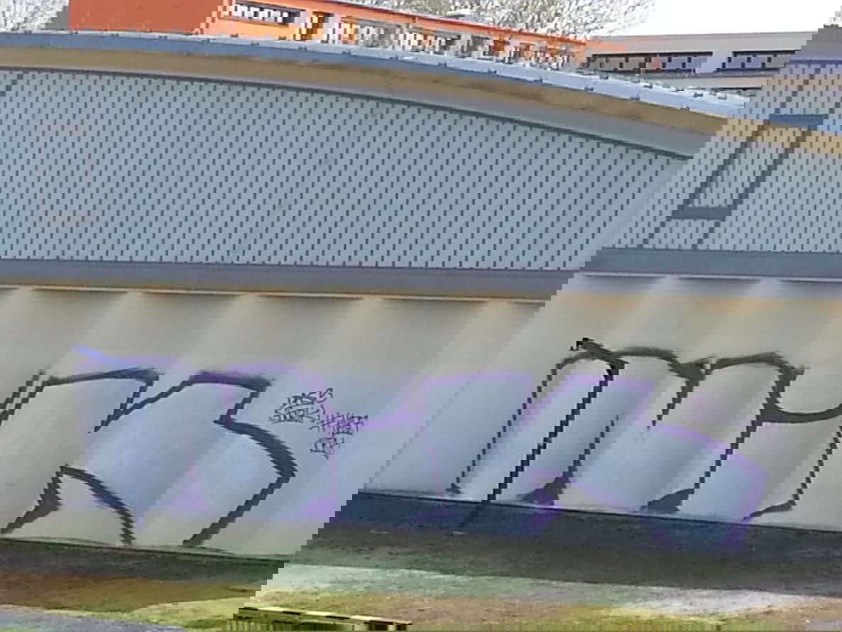 Graffiti Bombing - Photo by Reshef - Nik (2013)