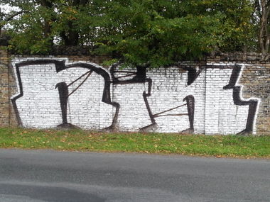 Graffiti Bombing - Photo by Reshef - Nik (2013)