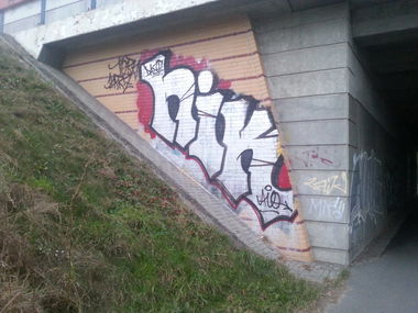 Graffiti Bombing in Wustermark - Photo by Reshef - Nik, Potsdam (2013)