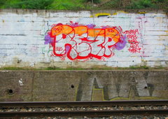 Photo #13474 by medfrizzy