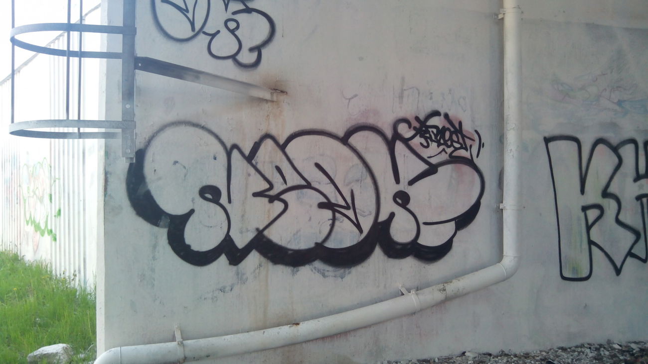 Graffiti Bombing - Photo by Rest47