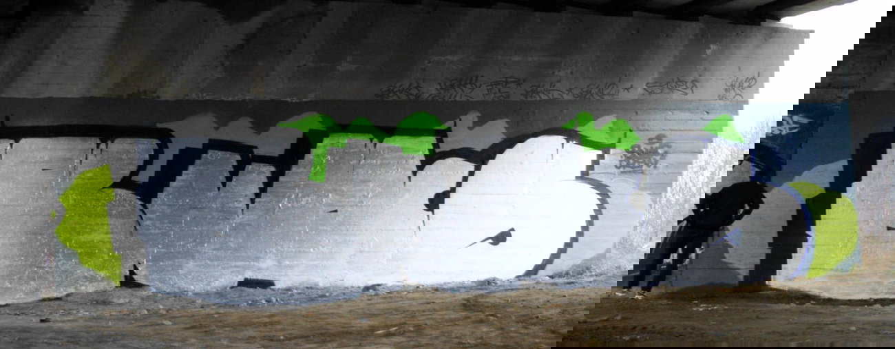 Graffiti Bombing - Photo by Rewolwer - BNACS (2015)