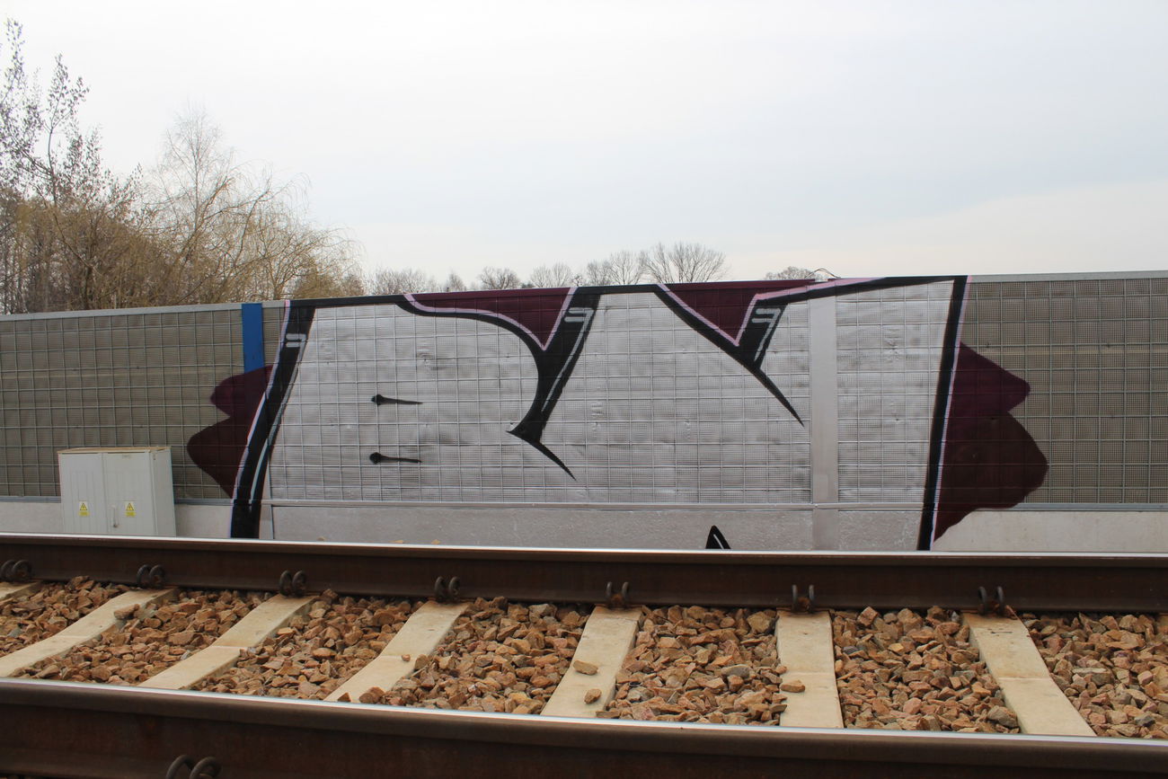 Graffiti Bombing - Photo by Rewolwer - BN (2016)