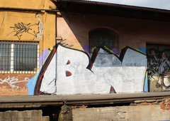 Photo #185393 by ribse