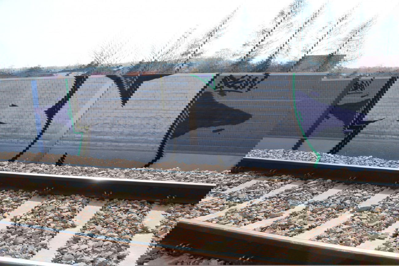 Graffiti Bombing - Photo by Rewolwer - BNCREW (2015)