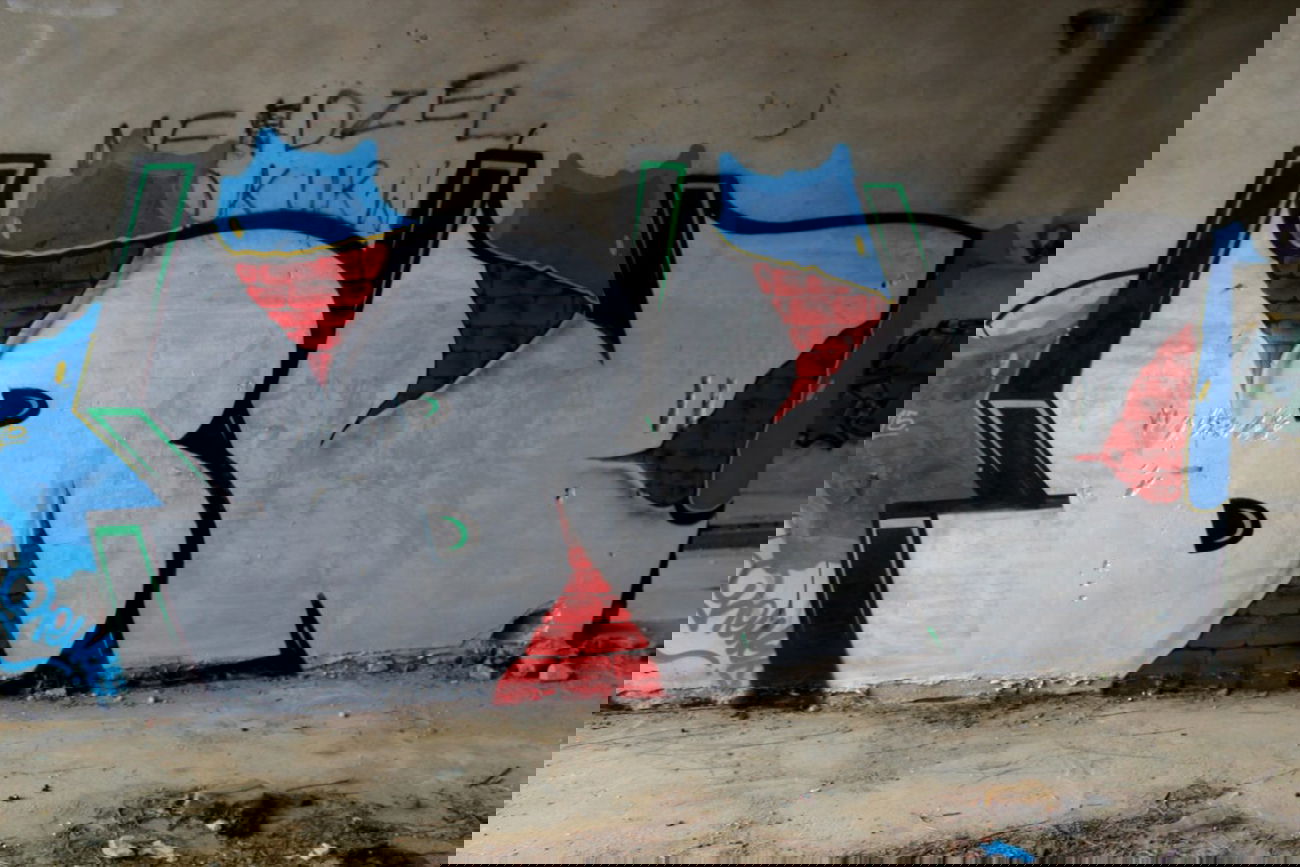 Graffiti Bombing - Photo by Rewolwer - BN, CREW (2015)