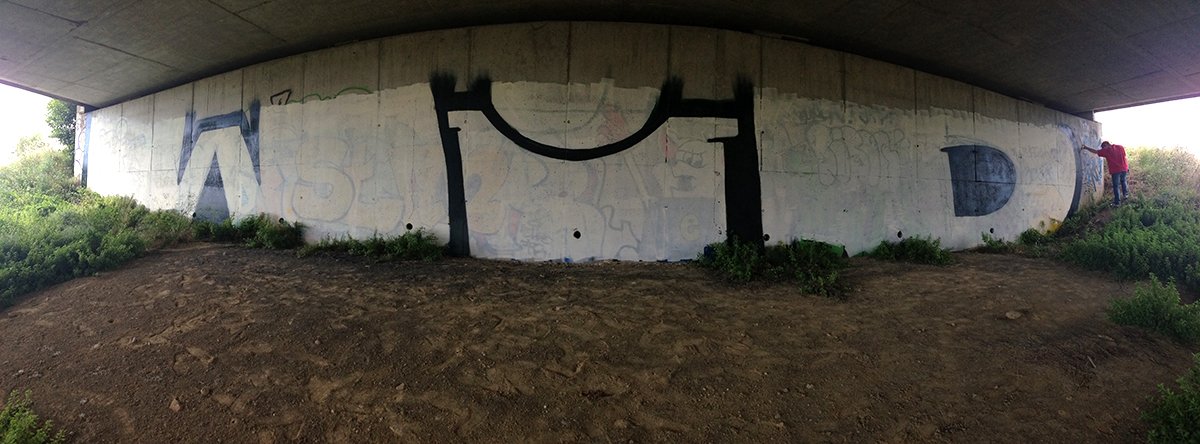 Graffiti Bombing - Photo by Rich - wid, rots, sirk (2013)