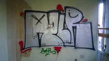 Graffiti Bombing - Photo by Rip