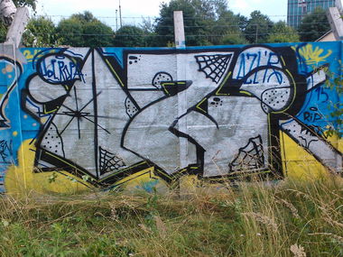 Graffiti Bombing - Photo by Rip