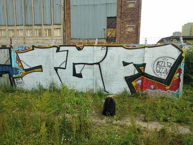 Graffiti Bombing - Photo by Rip (2015)