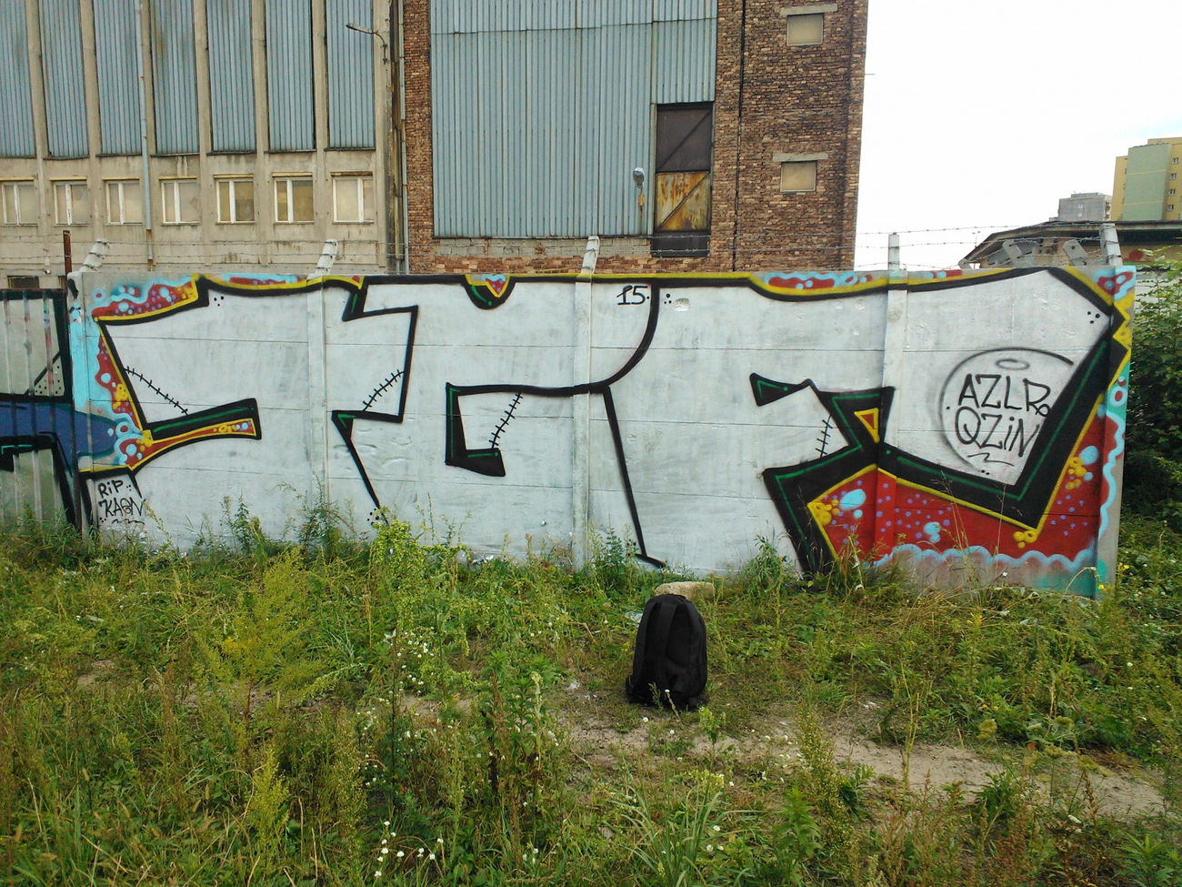 Graffiti Bombing - Photo by Rip (2015)