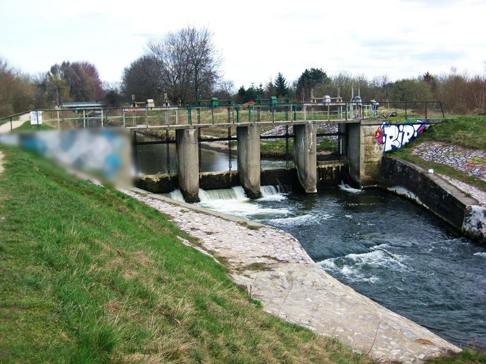 Graffiti Bombing - Photo by Rip - Chrome, Tama, woda (2015)