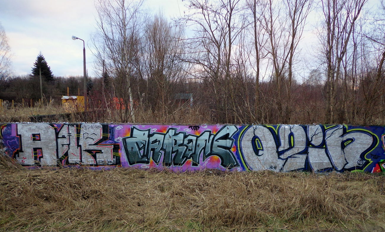 Graffiti Bombing - Photo by Rip (2016)