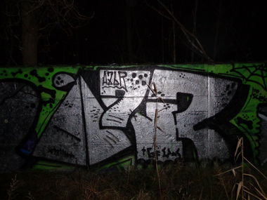 Graffiti Bombing - Photo by Rip