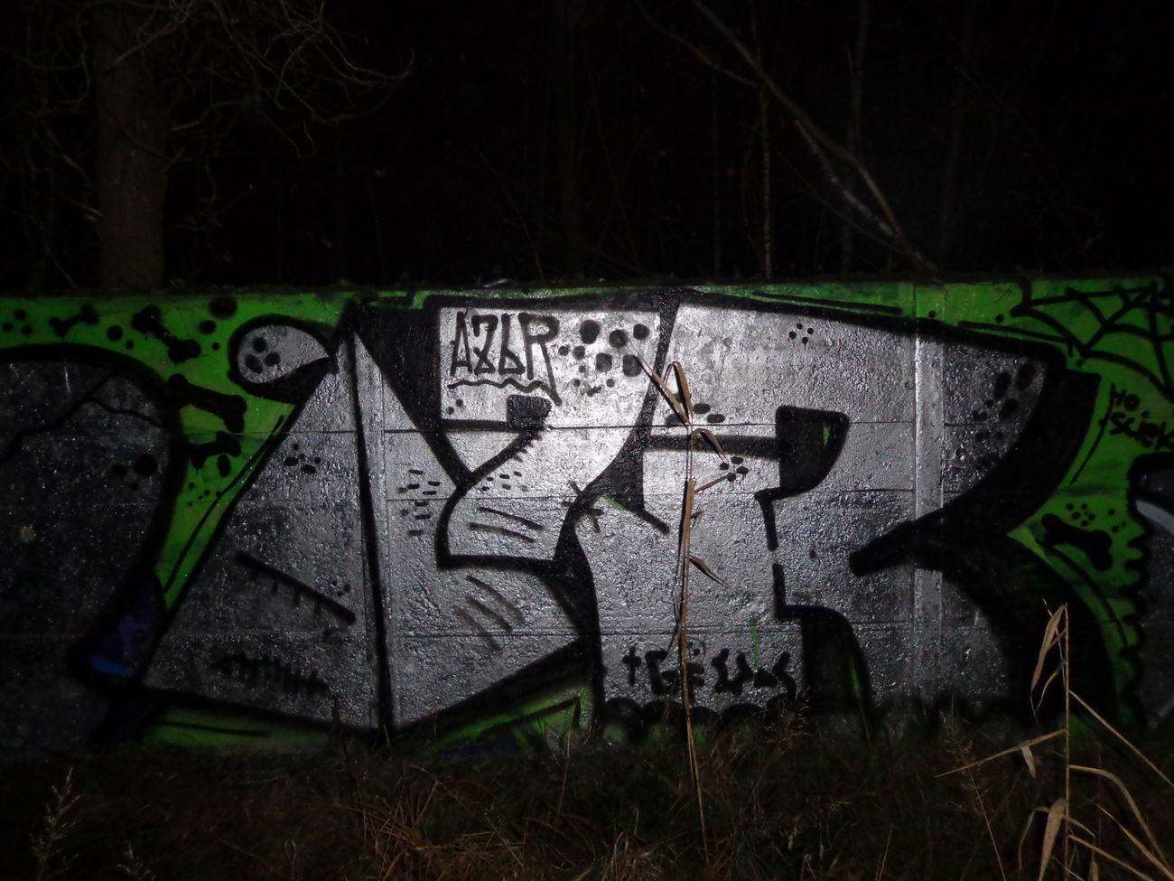 Graffiti Bombing - Photo by Rip