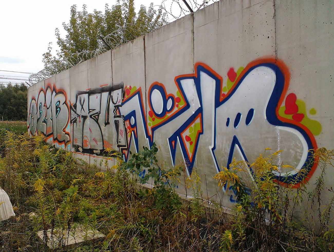 Graffiti Bombing - Photo by Rip - EXLO, AZLR, QZIN