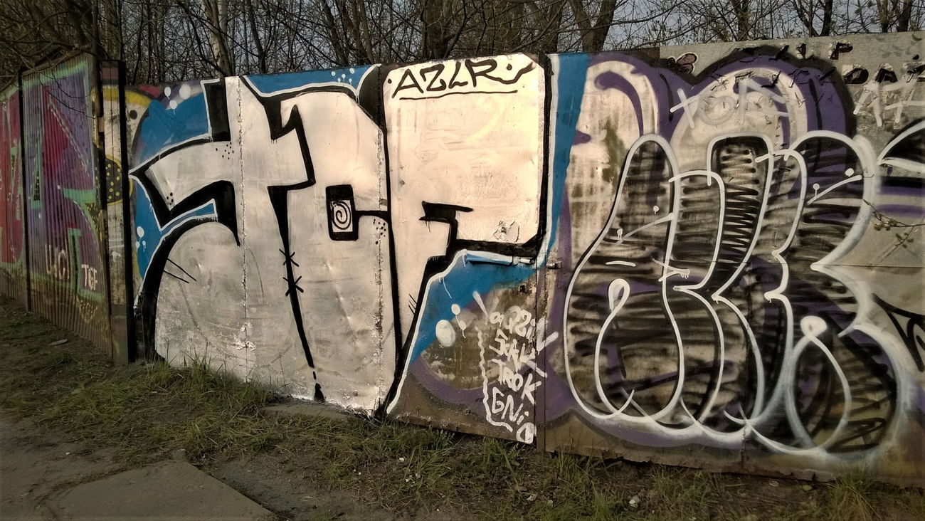 Graffiti Bombing - Photo by Rip