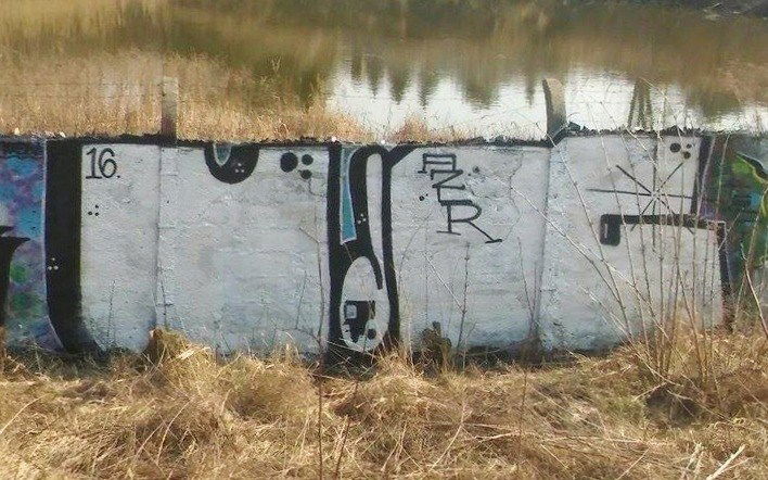 Graffiti Bombing - Photo by Rip - Chrome, Crew, TrainLine (2016)