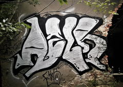 Photo #213389 by KAMEHAME