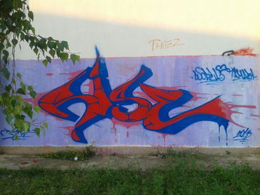 Graffiti Wall in Raska - Photo by Rise - Rise, Graffiti, 2013 (2013)