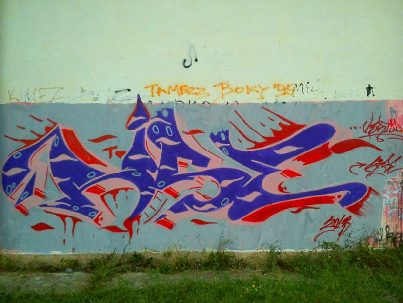 Graffiti Wall in Raska - Photo by Rise - Rise, 2013, Raska (2013)