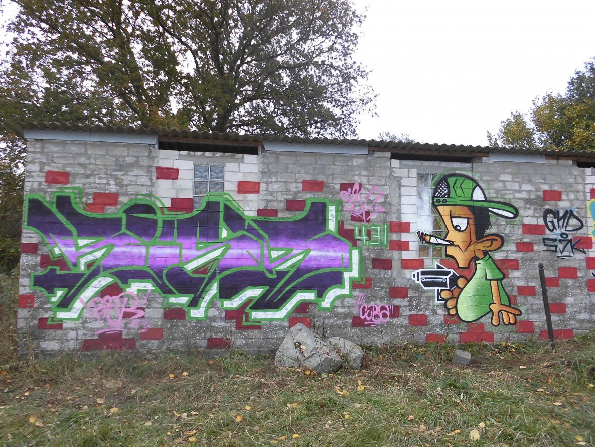 Graffiti Wall - Photo by Riser431 - Riser431, Sjk (2013)