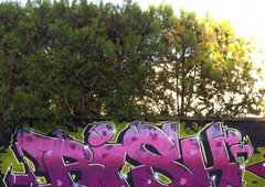 Photo #1179 by kizek