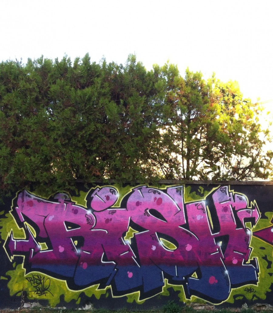 Graffiti Wall in ?akovo - Photo by Risk - risk, swk