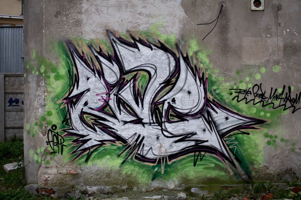 Graffiti Bombing - Photo by RivSon1 - Rive, AGR (2013)