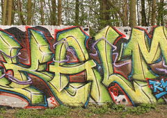 Photo #151805 by MENO