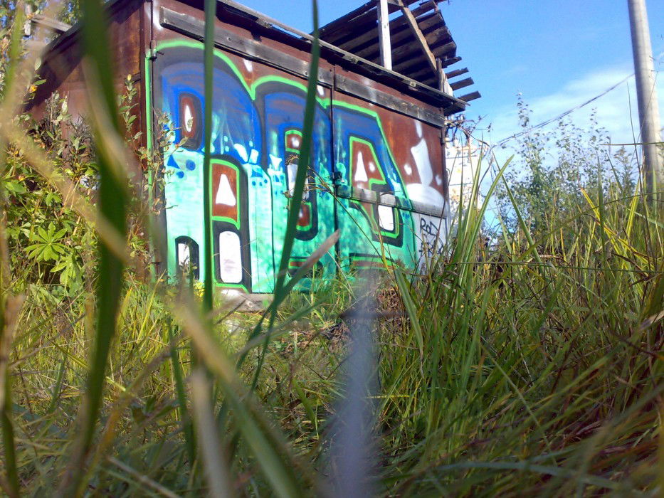 Graffiti Wall in Saint Petersburg - Photo by RoaDoneR - 2011