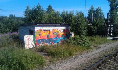 Graffiti Bombing in Saint-Petesburg - Photo by RoaDoneR (2013)