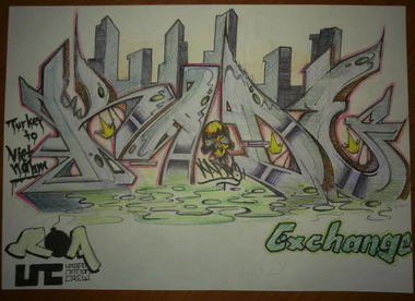 Graffiti Sketch in Sakarya - Photo by RoaOne - roa (2012)