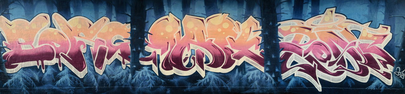 Graffiti Wall - Photo by Roak - borg, rape, roak (2018)