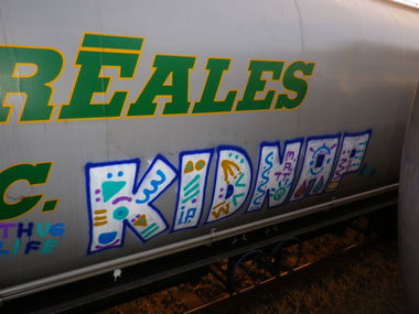 Graffiti Train in Hungary - Photo by RobertPoulsen - kidnap, ip, graffiti (2013)