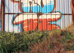 Photo #185143 by bocat