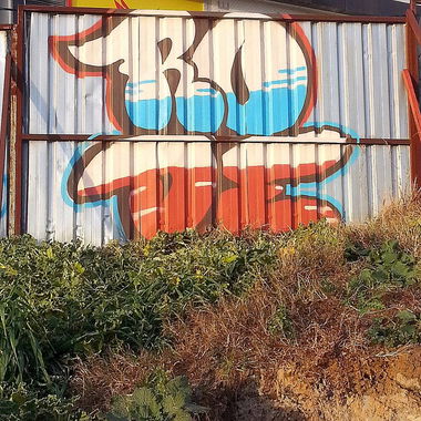 Graffiti Bombing - Photo by Rodegraff