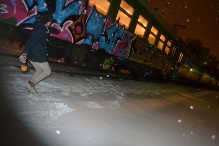 Graffiti Train in Moscow - Photo by RoelOne - Roel, Guts (2013)