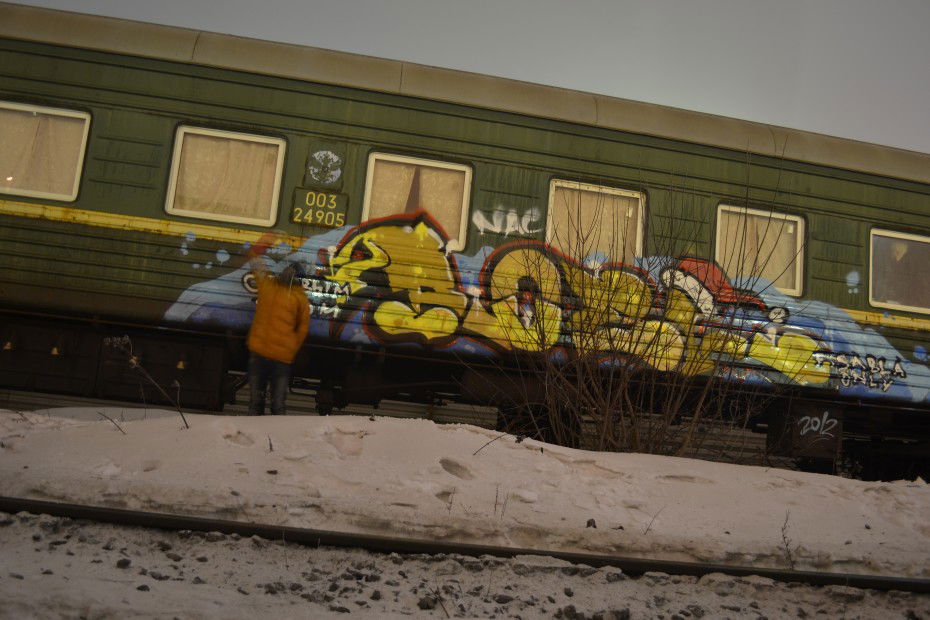Graffiti Train - Photo by RoelOne (2012)