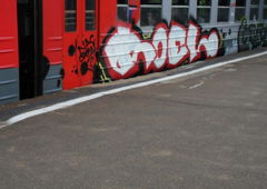 Photo #17707 by newer88