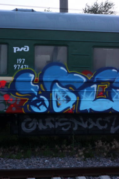 Graffiti Train - Photo by RoelOne (2013)