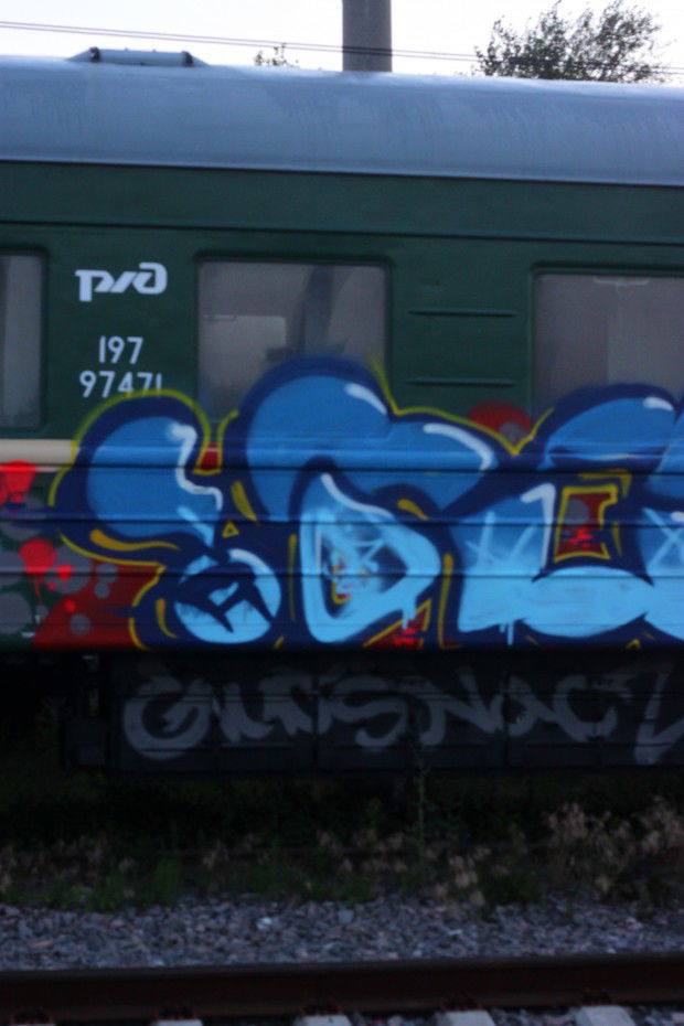 Graffiti Train - Photo by RoelOne (2013)