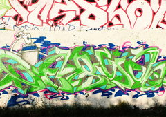 Photo #98721 by SLAP